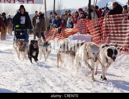 Yukon Quest und Iditarod Musher Hugh Neff, Hund Schlitten fahren, mushing, laufen, Schlittenhunde, Alaskan Huskies, Hundeschlitten, Straße beginnen Stockfoto