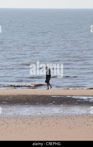 Ein Mann geht am Rand des Meeres an einem Strand in den frühen Morgenstunden Frinton Essex Stockfoto