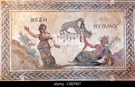 Bodenmosaik im Haus des Dionysos, Römersiedlung, Ausgrabungsstätte, Pafos oder Paphos, Zypern Süd, Zypern Griechisch Stockfoto