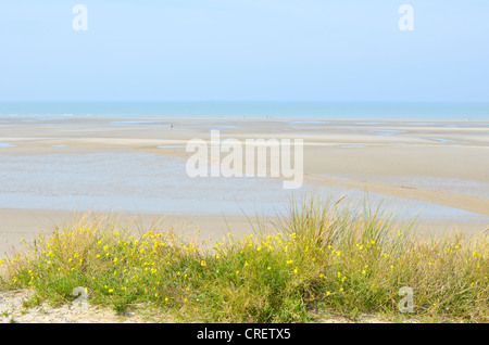 Blick auf den Sandstrand durch das Seegras am Hardelot, Le Touquet, Frankreich Stockfoto