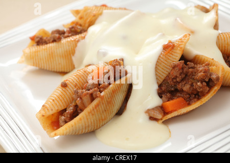 Pasta Shells gefüllt mit Fleischsauce Bolognaise-Typ und gekrönt mit einem käsigen Bechamel. Stockfoto