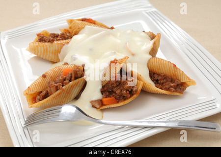 Pasta Shells gefüllt mit Fleischsauce Bolognaise-Typ und gekrönt mit einem käsigen Bechamel. Stockfoto