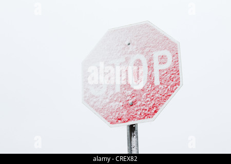 Eine schneebedeckte Stop-Schild gegen ein düsteres, strukturlose Winterhimmel. Stockfoto