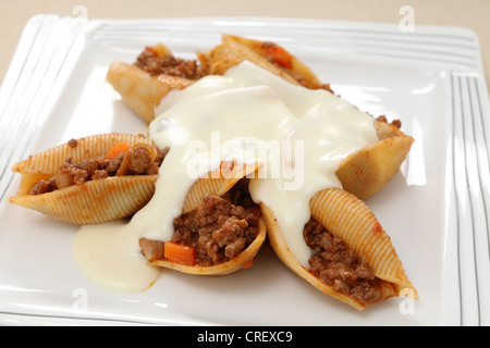 Pasta Shells gefüllt mit Fleischsauce Bolognaise-Typ und gekrönt mit einem käsigen Bechamel. Stockfoto