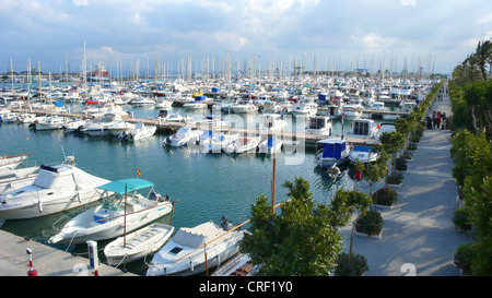 Puerto Pollensa mit vielen Yachten im Winter, Spanien, Mallorca, Port Polenca Stockfoto