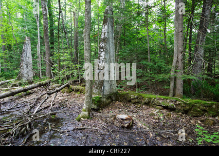 Standort der Matson Flooring Company entlang der verlassenen Gordon Pond Railroad in North Lincoln, New Hampshire USA. Stockfoto