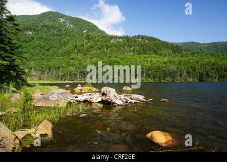 Kinsman Kerbe - Mount Blau von Biber Teich in den White Mountains, New Hampshire, USA Stockfoto