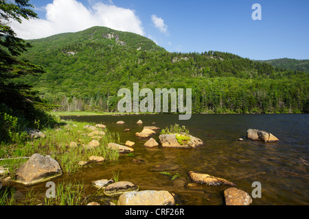 Kinsman Kerbe - Mount Blau von Biber Teich in den White Mountains, New Hampshire, USA Stockfoto