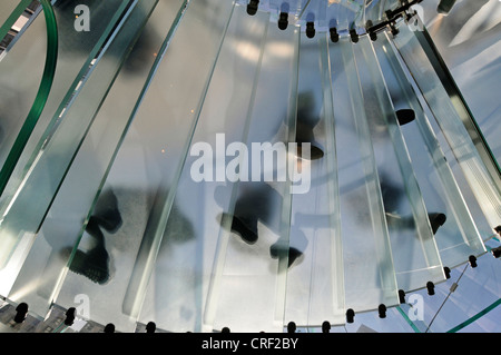 Eingang des Glass Cube, Apple Retail Store, Fifth Avenue, Vereinigte Staaten, New York City, Manhattan Stockfoto