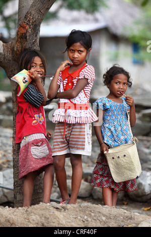 Timoresische Kinder auf Insel Atauro. Ost-Timor. Stockfoto