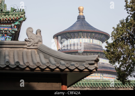 Im Park der Himmelstempel in Peking, China Stockfoto