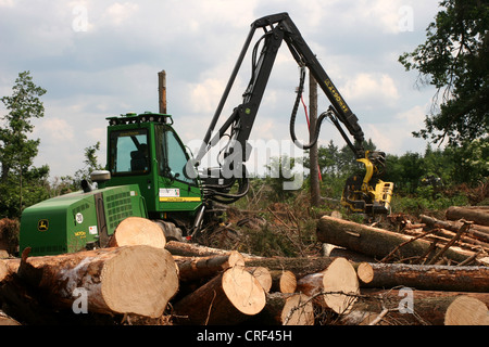 Gemeine Fichte (Picea Abies), Mähdrescher bei der Arbeit in einer Fichte stehen, Deutschland, Nordrhein-Westfalen, Sauerland Stockfoto