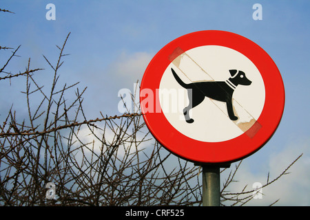 Informationen Zeichen Hunde verboten in Port Zelande, Niederlande Stockfoto