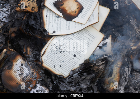 Bücher, die im Feuer brennen Stockfoto