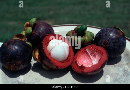 Mangostan-Frucht (Garcinia Mangostana), Obst und Früchte Stockfoto