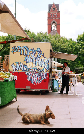 Flegelt Hund am Winterfeld Platz in Berlin, Deutschland Stockfoto