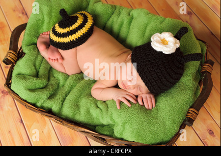 Drei 3 Wochen altes neugeborenes Mädchen tragen eine gehäkelte schwarz und gelb Bumblebee Kostüm und schlafen in einem Korb. Stockfoto