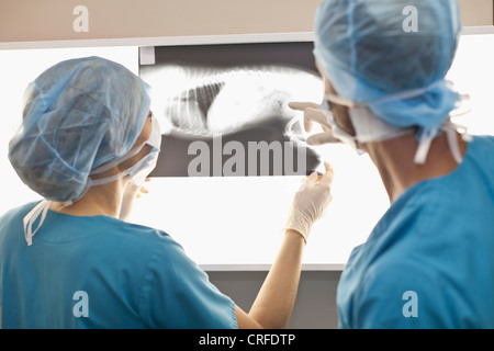 Tierärzte untersuchen Röntgenstrahlen im Büro Stockfoto