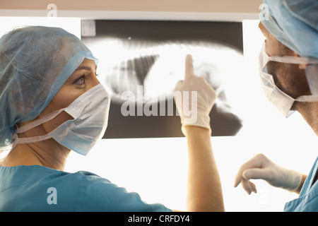 Tierärzte untersuchen Röntgenstrahlen im Büro Stockfoto