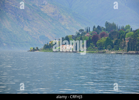 Menaggio gegenüber Bellagio, Grand am See Villen mit herrlichen Gärten, Spielplatz für die reichen & Famouus, beliebtes Ausflugsziel Stockfoto