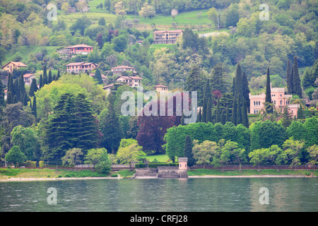 Menaggio gegenüber Bellagio, Grand am See Villen mit herrlichen Gärten, Spielplatz für die reichen & Famouus, beliebtes Ausflugsziel Stockfoto