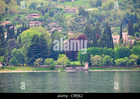 Menaggio gegenüber Bellagio, Grand am See Villen mit herrlichen Gärten, Spielplatz für die reichen & Famouus, beliebtes Ausflugsziel Stockfoto