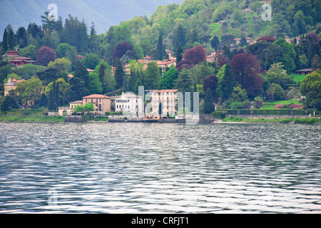 Menaggio gegenüber Bellagio, Grand am See Villen mit herrlichen Gärten, Spielplatz für die reichen & Famouus, beliebtes Ausflugsziel Stockfoto