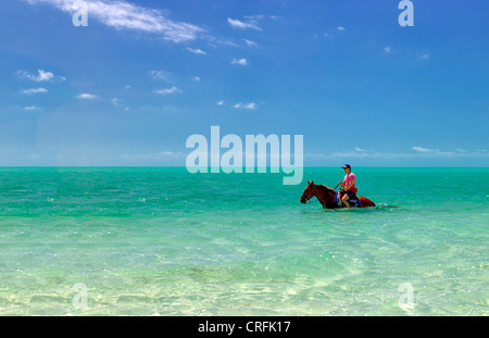 Reiter im Wasser. Providenciales. Turks- und Caicosinseln. Stockfoto