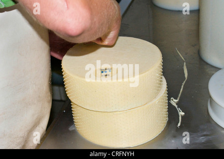 Traditionelle Käseherstellung: Käse-Räder mit Logo, Zermatt, Taeschalp, Wallis, Schweiz Stockfoto