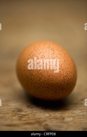 Nahaufnahme von gesprenkelten Ei Stockfoto