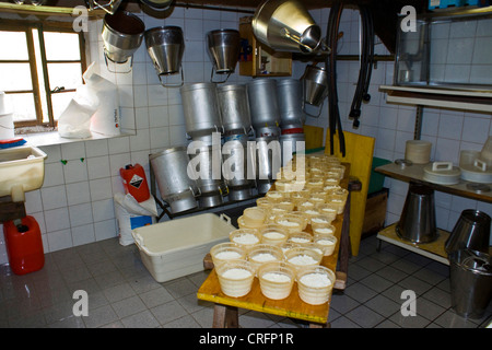 Traditionelle Käseherstellung: Ausfüllen von Formen mit einem speziellen Käse Molke hergestellt, genannt Ziegerkaese oder Ricotta, Schweiz, Wallis, Taeschalp, Zermatt Stockfoto