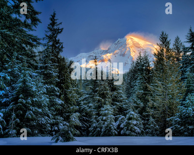 Mt. Rainier nach einem Schneesturm. Mt. Rainier Nationalpark, Washington Stockfoto