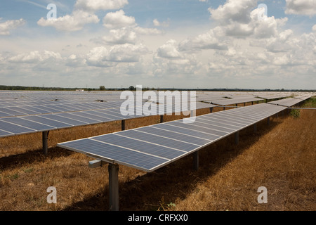 Austin Texas: Solarpaneele in einem 380 Hektar großen Werk können jährlich 50.000 MWH emissionsfreien Strom erzeugen. ©Marjorie Kamys Cotera/Daemmrich Photos Stockfoto