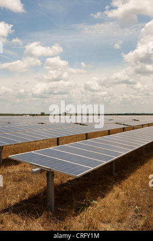 Austin Texas: Solarpaneele in einem 380 Hektar großen Werk können jährlich 50.000 MWH emissionsfreien Strom erzeugen. ©Marjorie Kamys Cotera/Daemmrich Photos Stockfoto