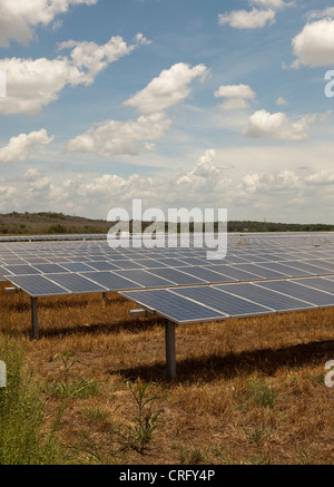 Austin Texas: Solarpaneele in einem 380 Hektar großen Werk können jährlich 50.000 MWH emissionsfreien Strom erzeugen. ©Marjorie Kamys Cotera/Daemmrich Photos Stockfoto