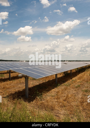 Austin Texas: Solarpaneele in einem 380 Hektar großen Werk können jährlich 50.000 MWH emissionsfreien Strom erzeugen. ©Marjorie Kamys Cotera/Daemmrich Photos Stockfoto