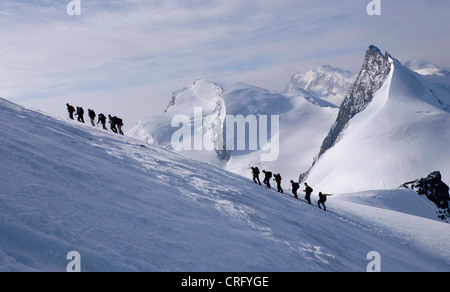 zwei Seilschaften an einem Drahtseil gehen, Schweiz, Wallis, Allalinhorn Stockfoto