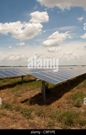 Austin Texas: Solarpaneele in einem 380 Hektar großen Werk können jährlich 50.000 MWH emissionsfreien Strom erzeugen. ©Marjorie Kamys Cotera/Daemmrich Photos Stockfoto