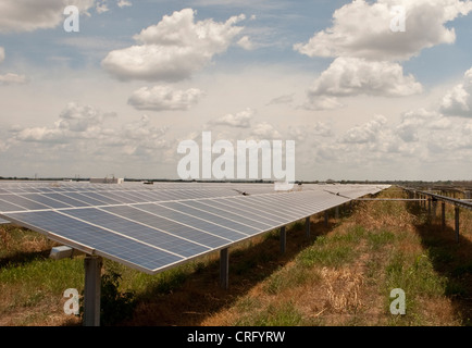 Austin Texas: Solarpaneele in einem 380 Hektar großen Werk können jährlich 50.000 MWH emissionsfreien Strom erzeugen. ©Marjorie Kamys Cotera/Daemmrich Photos Stockfoto