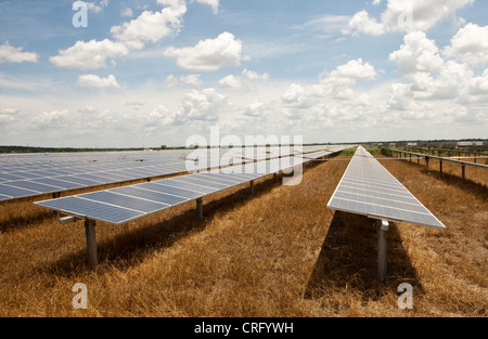 Austin Texas: Solarpaneele in einem 380 Hektar großen Werk können jährlich 50.000 MWH emissionsfreien Strom erzeugen. ©Marjorie Kamys Cotera/Daemmrich Photos Stockfoto