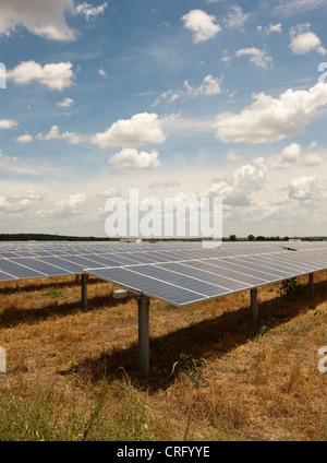 Austin Texas: Solarpaneele in einem 380 Hektar großen Werk können jährlich 50.000 MWH emissionsfreien Strom erzeugen. ©Marjorie Kamys Cotera/Daemmrich Photos Stockfoto