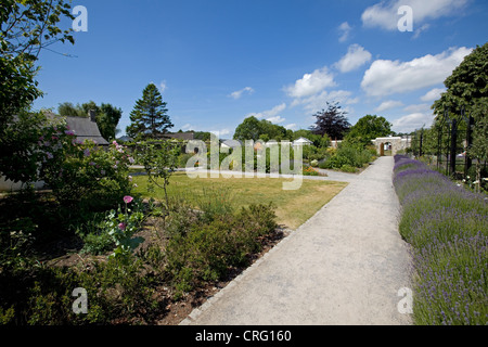 Cowbridge Physic Garden, Vale of Glamorgan Stockfoto