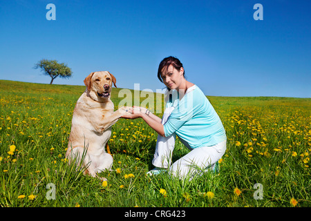 schöne Mädchen posiert mit ihrem Hund Stockfoto