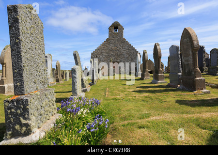 Alte Str. Marys Kirche und Grabsteine mit Glockenblumen im Kirchhof bei Burwick South Ronaldsay Orkneyinseln Schottland UK Großbritannien Stockfoto