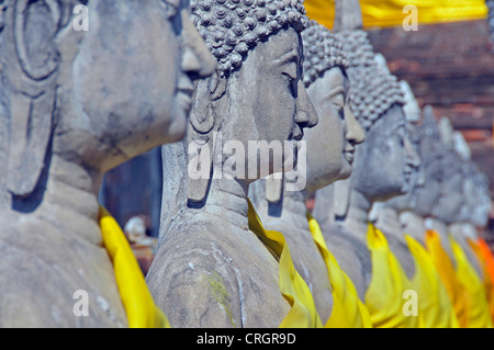 Buddha-Statuen rund um die große Chedi Chaya Mongkol, Thailand, Ayutthaya, Wat Yai Chai Mongkon Stockfoto