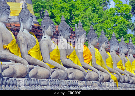 Buddha-Statuen rund um die große Chedi Chaya Mongkol, Thailand, Ayutthaya, Wat Yai Chai Mongkon Stockfoto