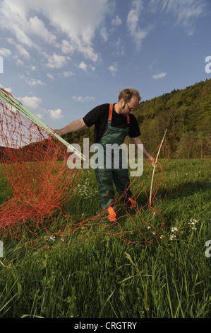 Schäfer, Aufbau von einem Elektrozaun auf einer Weide, Deutschland Stockfoto