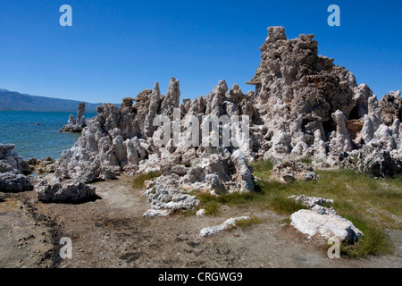 Tuffstein Türme oder Spalten (Felsformationen) am Mono Lake, Mono County, Kalifornien, USA im Juli Stockfoto