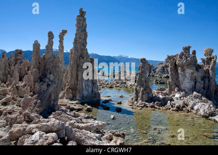 Tuffstein Türme oder Spalten (Felsformationen) am Mono Lake, Mono County, Kalifornien, USA im Juli Stockfoto