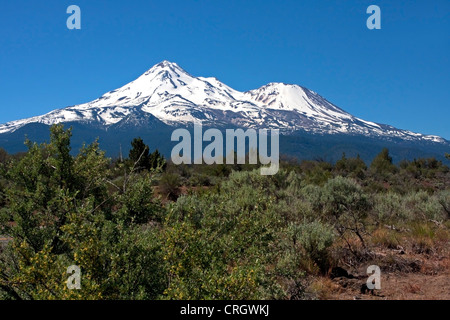 Schönen Blick auf Mount Shasta (oder am weißen Berg) Siskiyou County, Kalifornien, USA im Juni Stockfoto